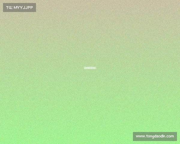 世界杯之后什么杯